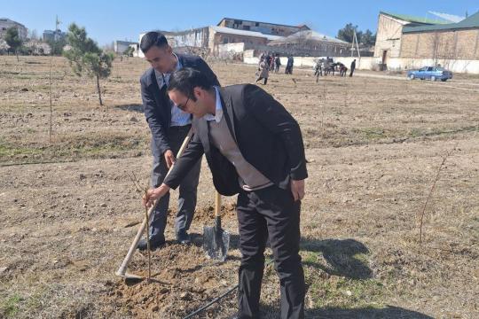 “Axborot tizimlari va texnologiyalari” kafedrasida umumxalq xayriya hashari uyushqoqlik bilan olib borilmoqda.