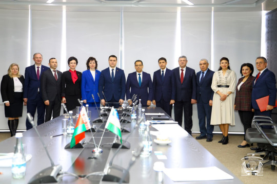 Uzbekistan and Belarus: issues of higher and professional education and cooperation in the scientific field were discussed