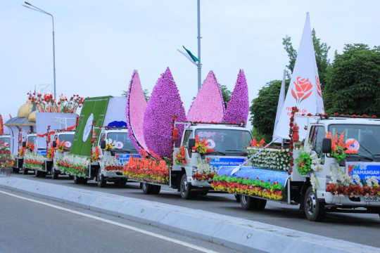 Welcome to the flower parade!