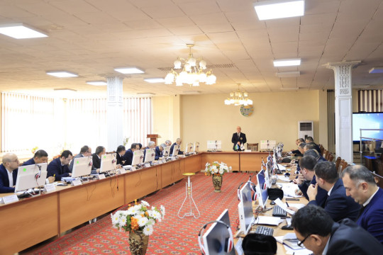 The final meeting of the scientific council of the institute is taking place this year