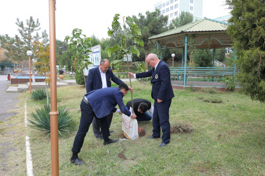 NamMQI sport majmuasi yaqinidagi maydonda “Yashil makon” umummilliy loyihasi doirasida ko‘chat ekish aksiyasi bo‘lib o‘tdi